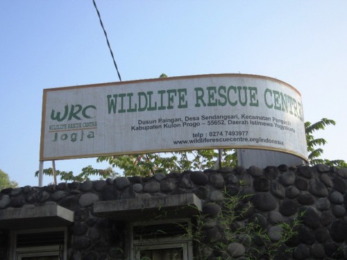 Foto Wildlife Rescue Center